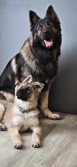Alaska et Tiago 1.jpg