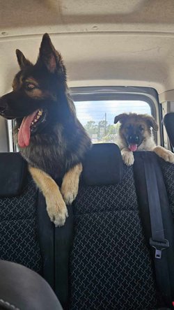 Alaska et Tiago 2.jpg