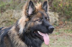 IMG_0641.jpg
