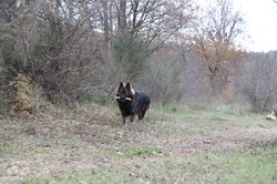 IMG_0658.jpg