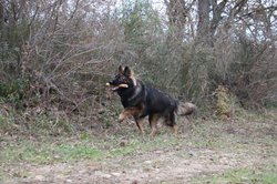 IMG_0667.jpg