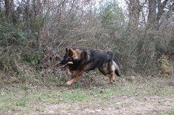 IMG_0668.jpg