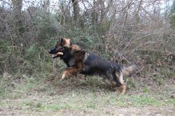 IMG_0670.jpg