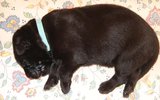 IMG_1533.jpg