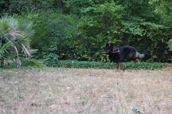 IMG_2559.jpg