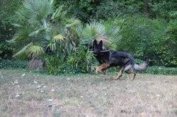 IMG_2563.jpg