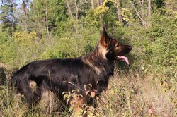 IMG_2812.jpg