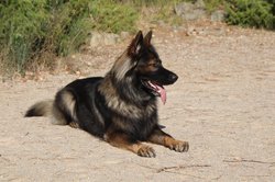 IMG_2943.jpg