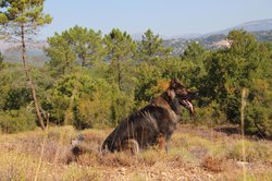 IMG_3000.jpg