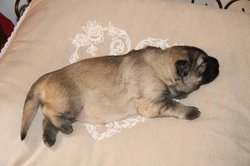 IMG_3243.jpg