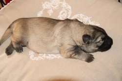 IMG_3246.jpg