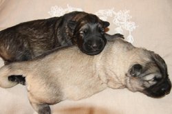 IMG_3252.jpg