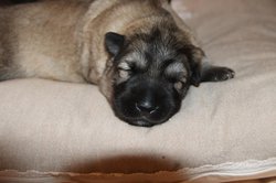 IMG_3256.jpg