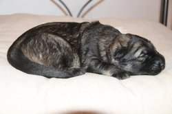IMG_3266.jpg