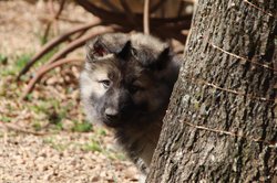 IMG_5115.jpg