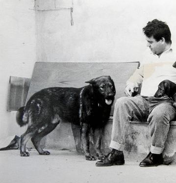 Juro : l’un des chiens du Mur de Berlin, adopté par une famille vivant à Majorque en Espagne – Photo du Mallorca Magazin