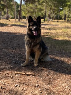 Thorgal.jpeg