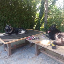 Ursus et skoll 4.jpeg