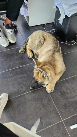 Vanille 5.jpg